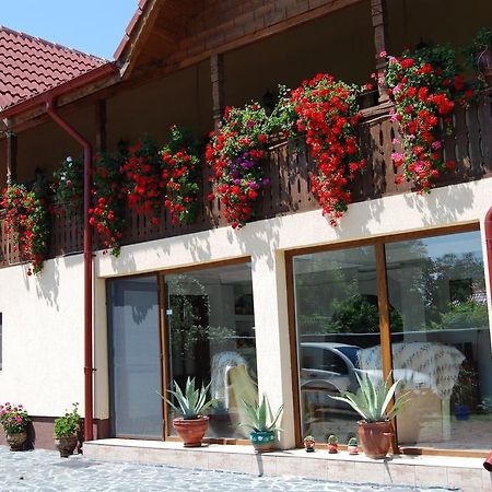 Pensiunea Casa Filoxenia Horezu Εξωτερικό φωτογραφία