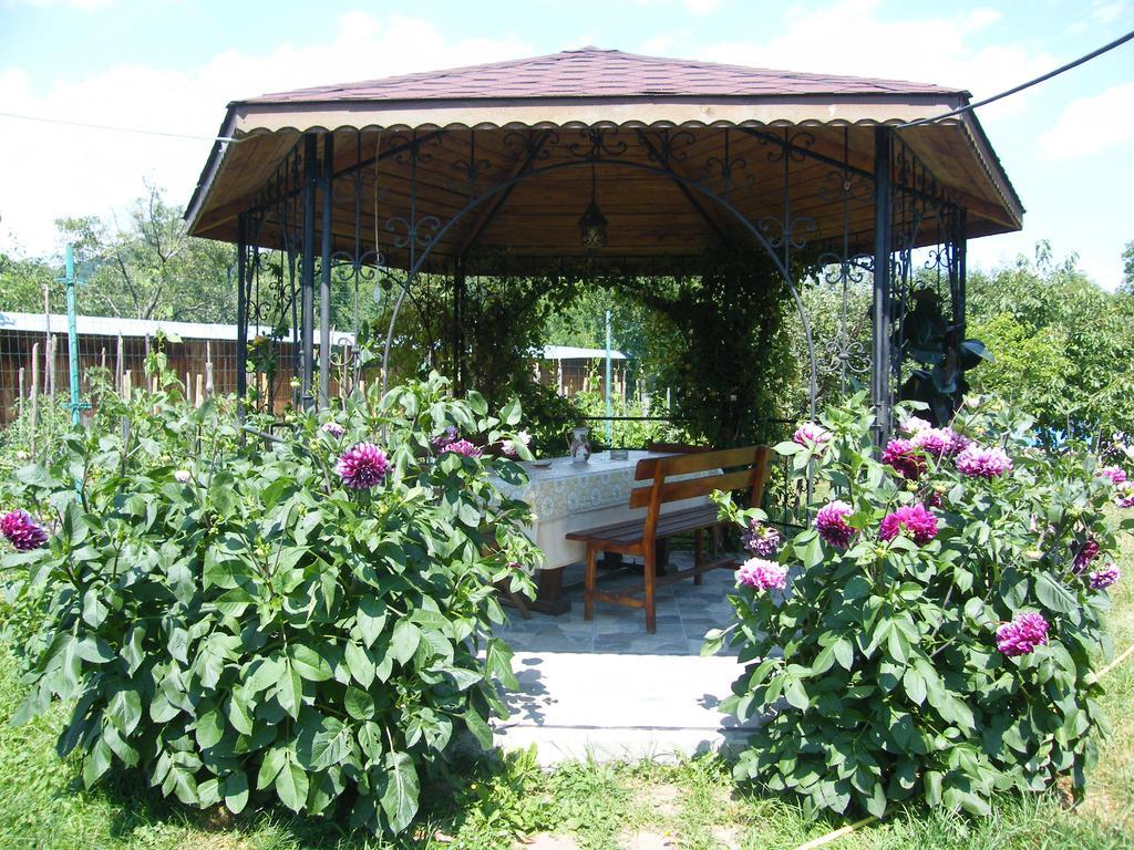 Pensiunea Casa Filoxenia Horezu Εξωτερικό φωτογραφία