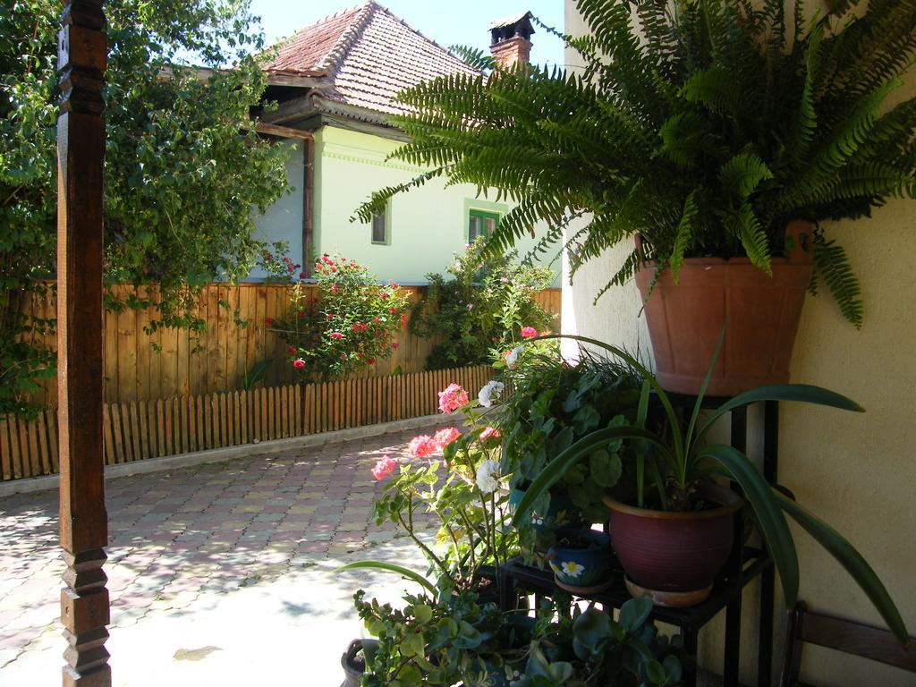 Pensiunea Casa Filoxenia Horezu Εξωτερικό φωτογραφία