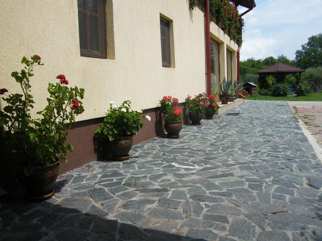 Pensiunea Casa Filoxenia Horezu Εξωτερικό φωτογραφία