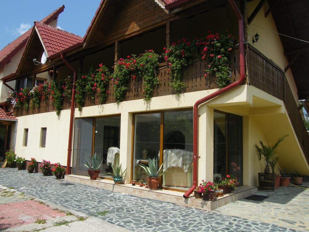 Pensiunea Casa Filoxenia Horezu Εξωτερικό φωτογραφία