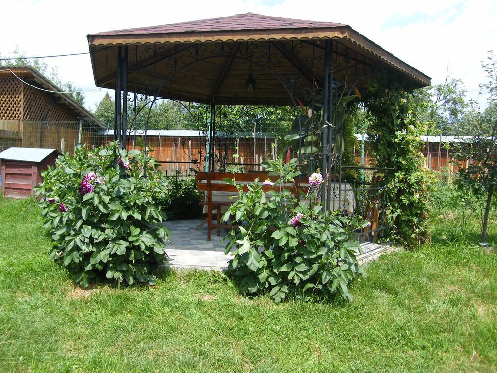 Pensiunea Casa Filoxenia Horezu Εξωτερικό φωτογραφία