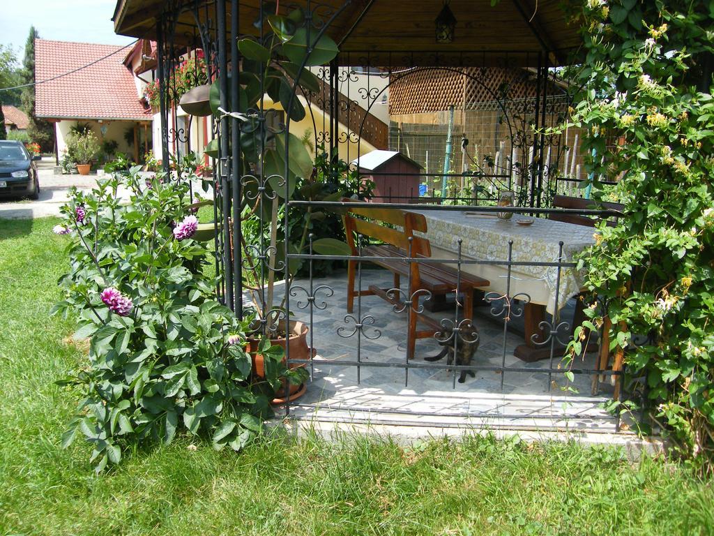 Pensiunea Casa Filoxenia Horezu Εξωτερικό φωτογραφία