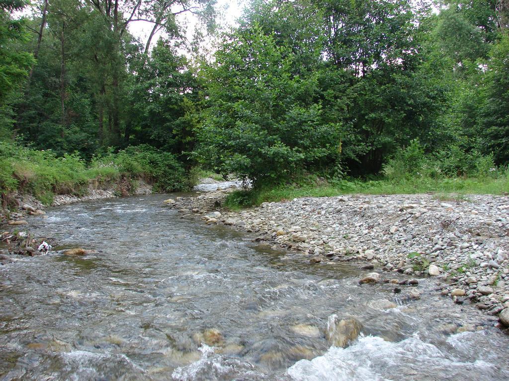 Pensiunea Casa Filoxenia Horezu Εξωτερικό φωτογραφία