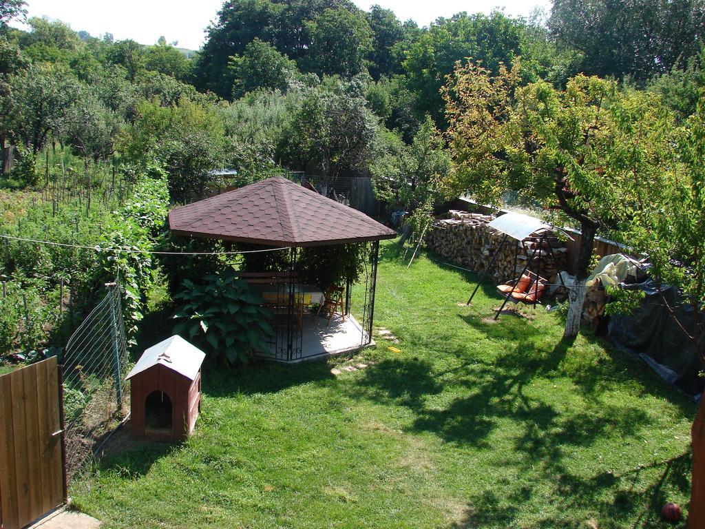 Pensiunea Casa Filoxenia Horezu Εξωτερικό φωτογραφία