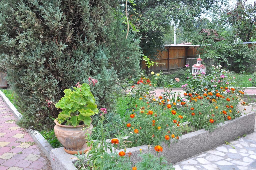 Pensiunea Casa Filoxenia Horezu Εξωτερικό φωτογραφία