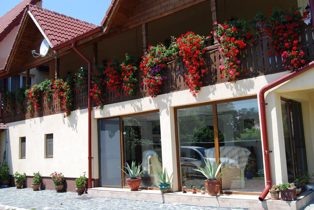 Pensiunea Casa Filoxenia Horezu Εξωτερικό φωτογραφία